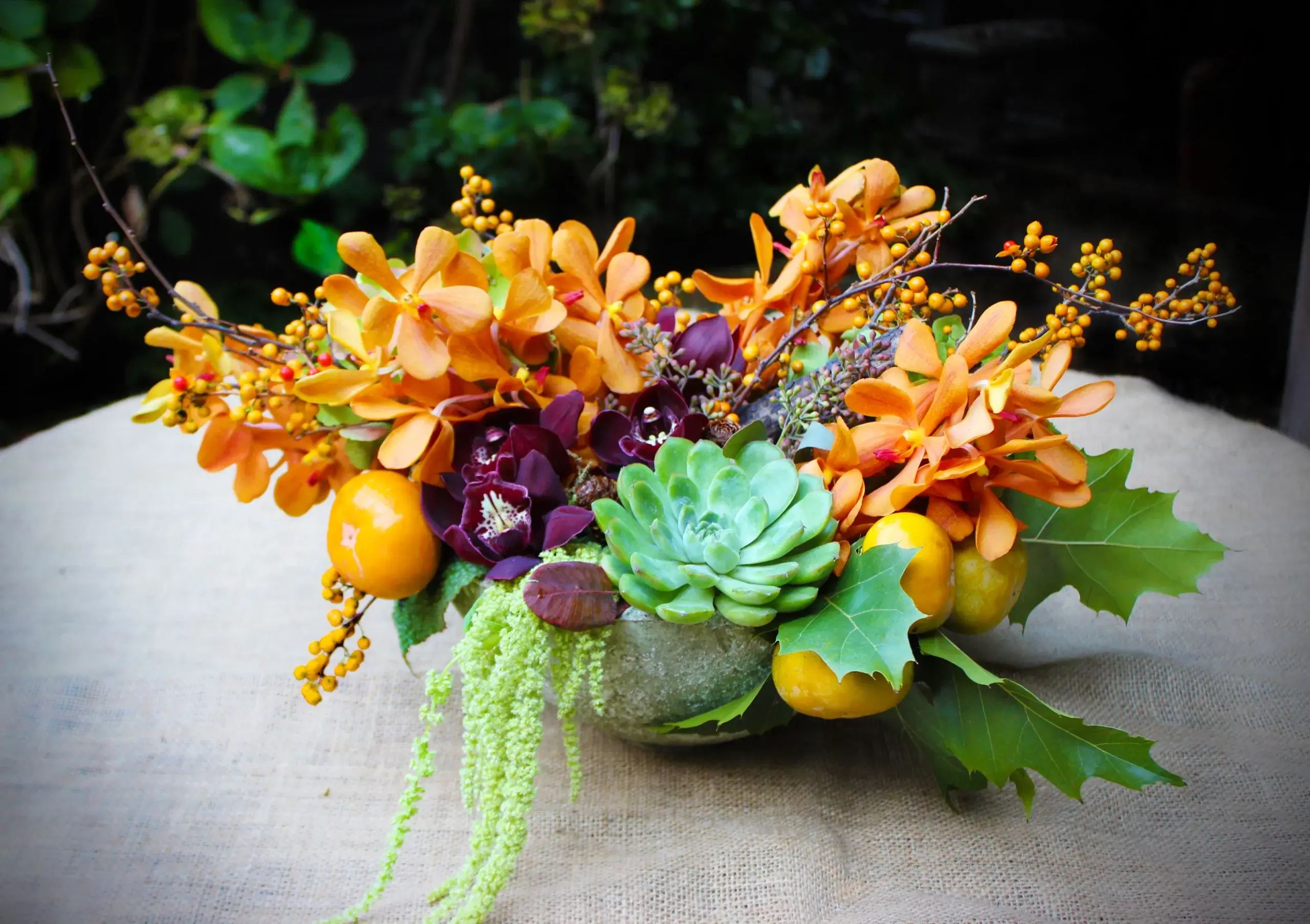 mokara and succulent centrepiece
