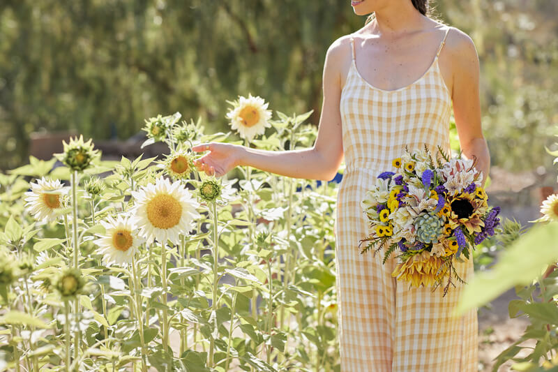sunflower fields and bouquet