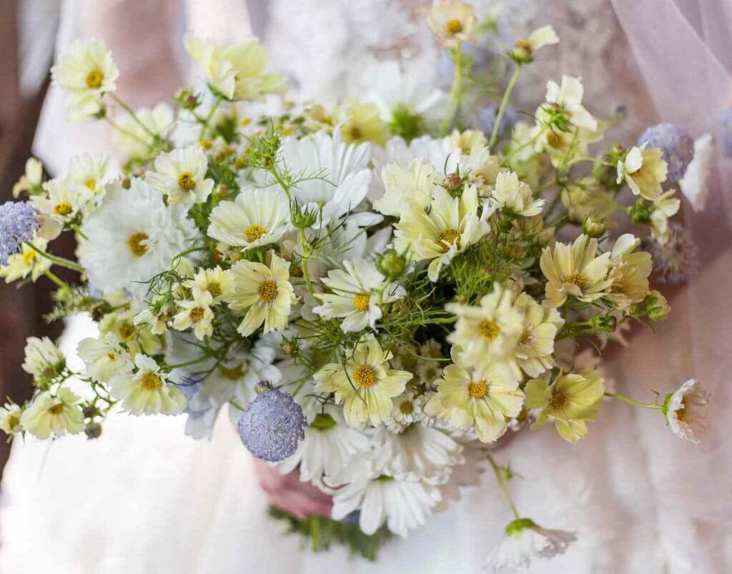 daisy flower bouquet