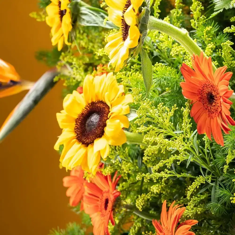 savanna floral tripod