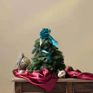 30CM (NAKED) Handcrafted Fresh Mini Christmas Tree - https://www.beato.com.sg/shop/occasions/christmas-trees-and-wreaths/