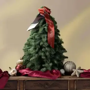 50CM (NAKED) Handcrafted Fresh Mini Christmas Tree - https://www.beato.com.sg/shop/occasions/christmas-trees-and-wreaths/