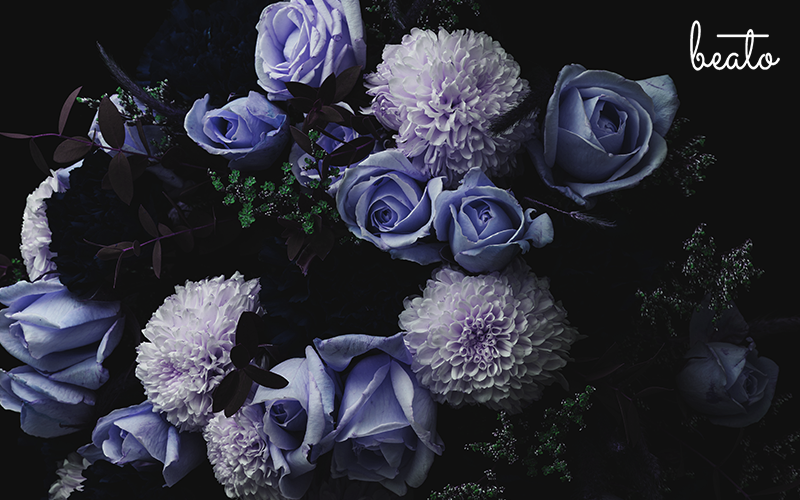 Bouquet of indigo and purple flowers