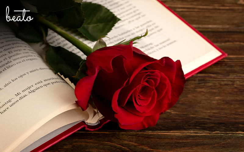 Rose laid between the pages of a book