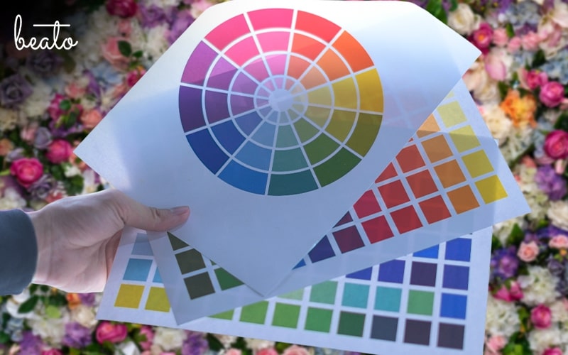 different colour theory and variations
