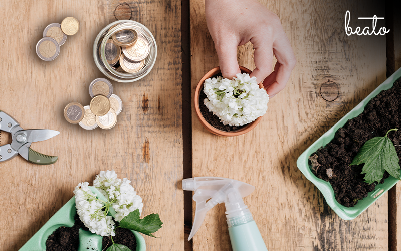 Instagram hacks to make aesthetic photos using flowers