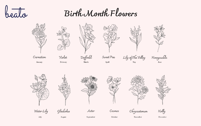 birth month chart and their flowers