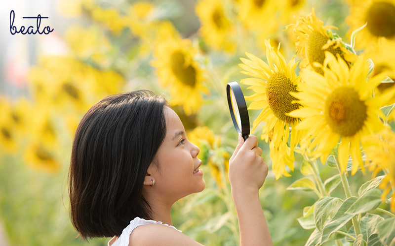 girl with magnifying glass observing a sunflower