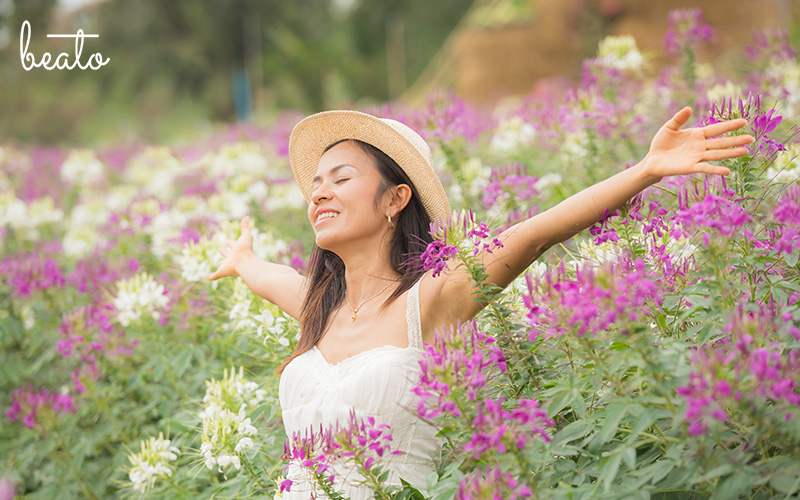 woman going through a flower field