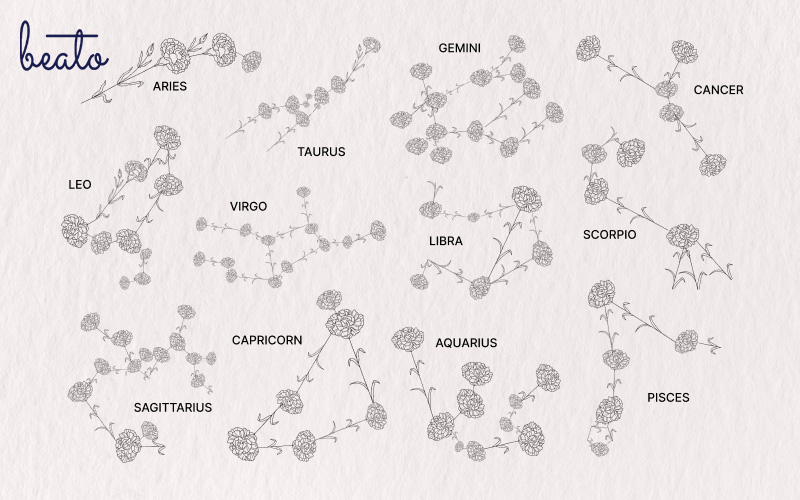 zodiac signs and their respective flowers