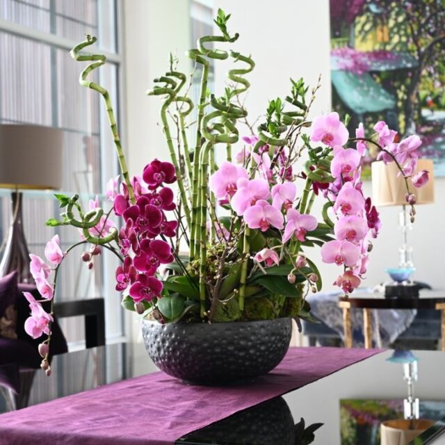 Let your home bloom into a haven of tranquility, where flowers whisper serenity and caress the mind and senses with their gentle grace.

#beatofiore #floralart #flowers #beato #floristsg