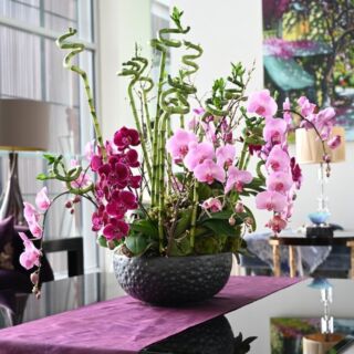 Let your home bloom into a haven of tranquility, where flowers whisper serenity and caress the mind and senses with their gentle grace.

#beatofiore #floralart #flowers #beato #floristsg