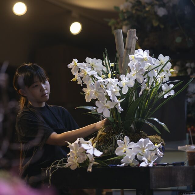 A sneak peak for what's to come in our new Silk & Preserved Floral collections.

#beatofiore #floralart #flowers #beato